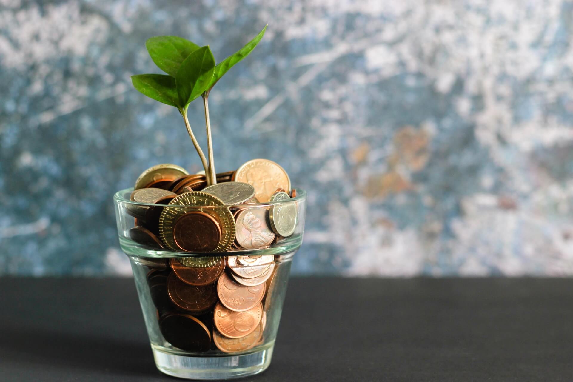 A clear glass full of coins and a growing plant