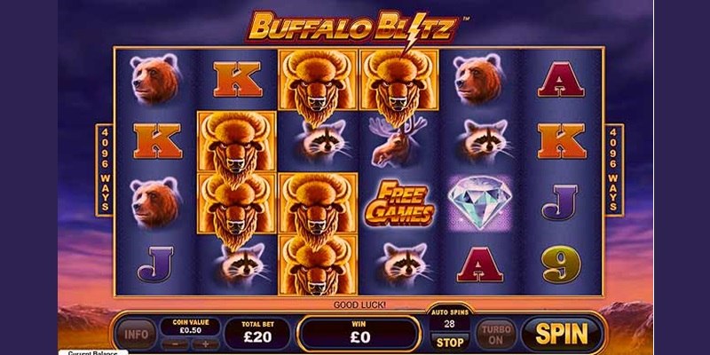 Buffalo Blitz