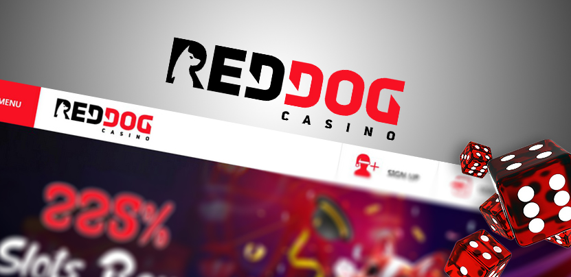 red dog casino