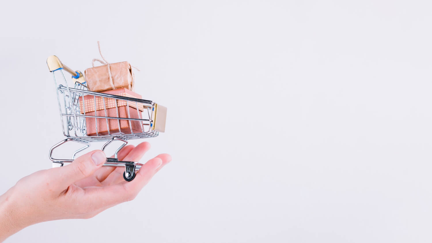 Person holding a small grocery cart