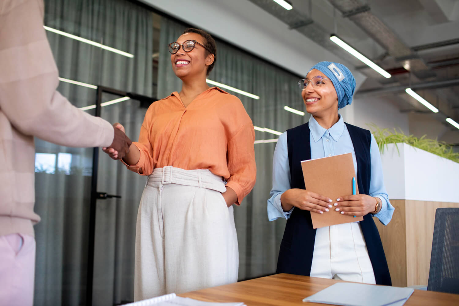 a lady shaking hands with a business man