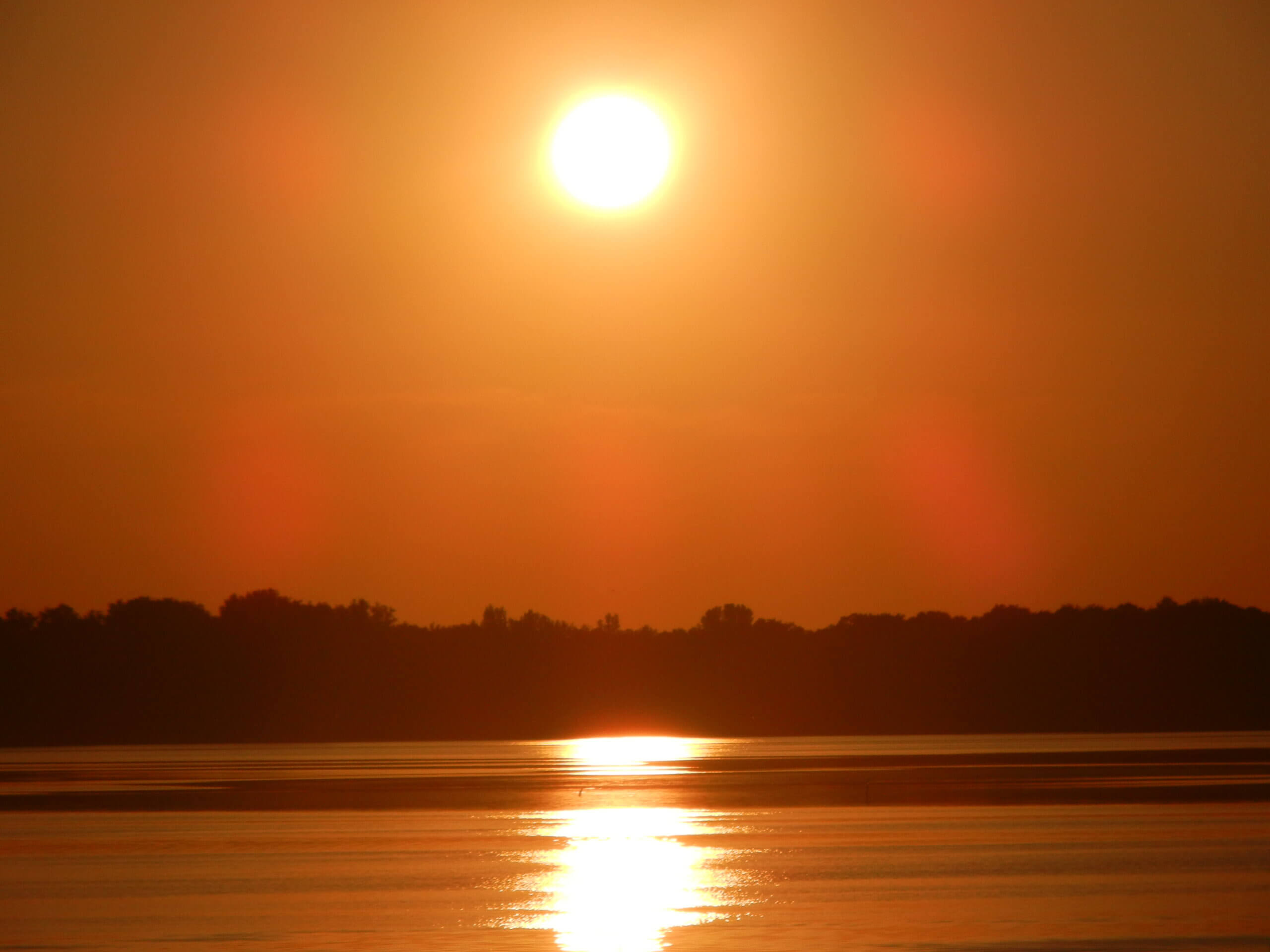 the bright rays of the sun captured in an image