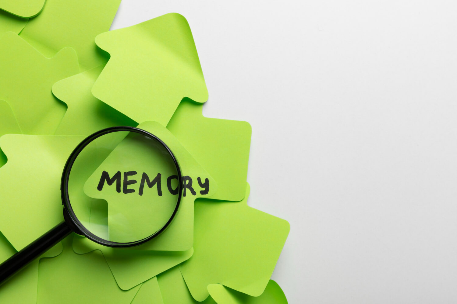 Guidelines and Resources on How to Improve Your Memory