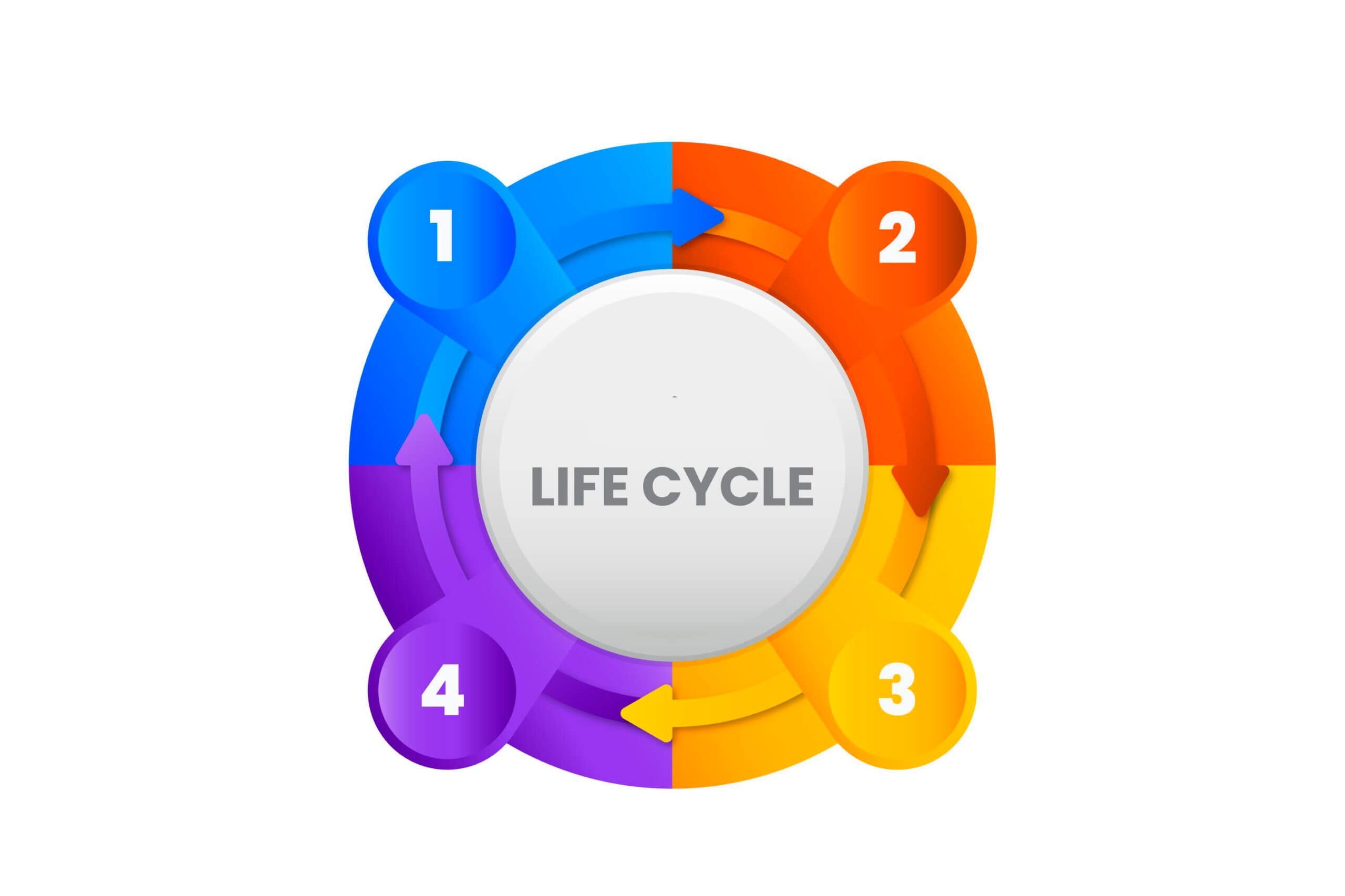 Product/Service Life Cycles