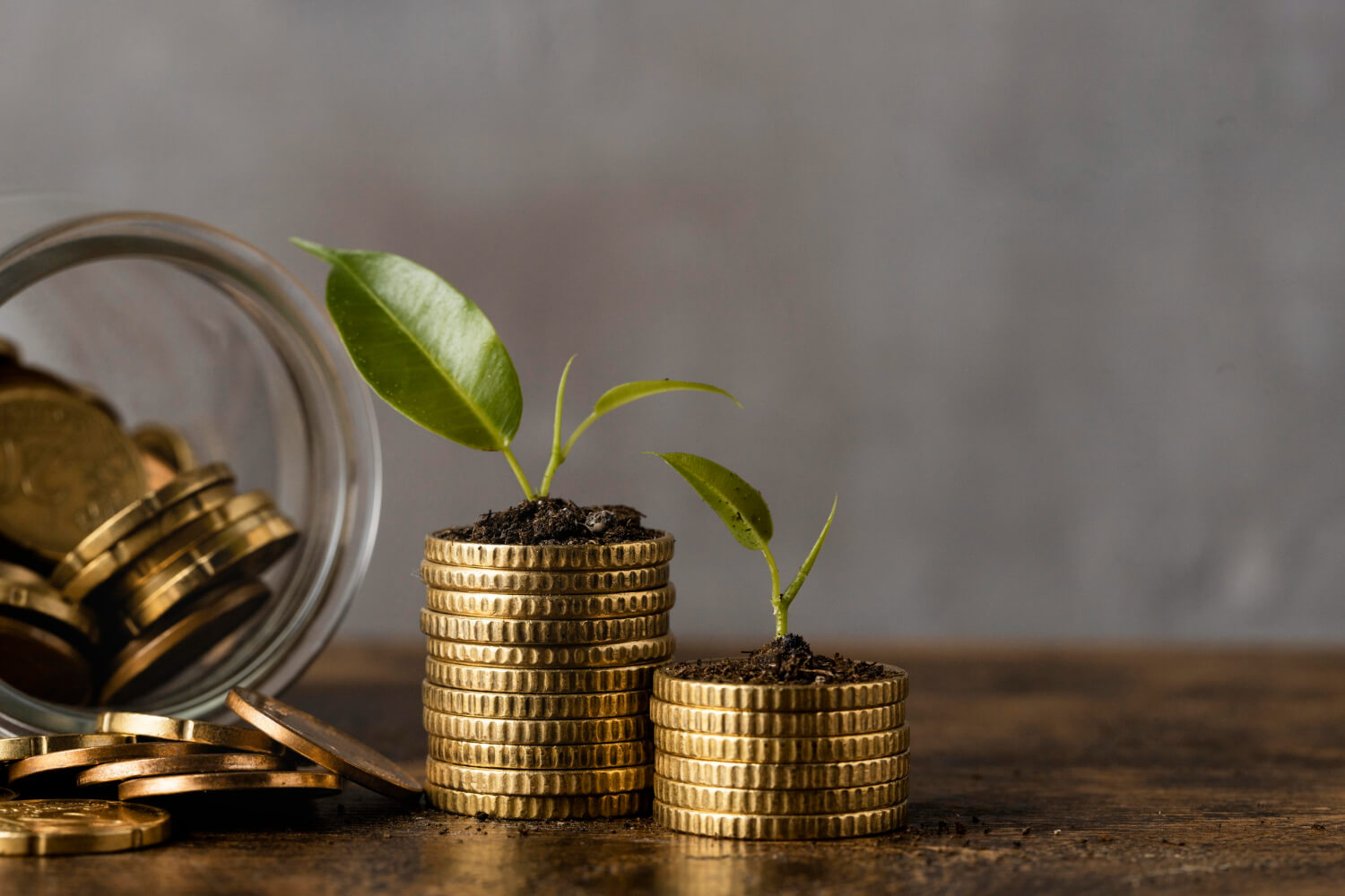 Two-stacks of coins-with-jar-plants