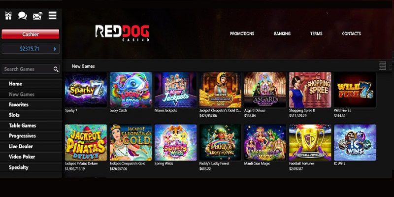 red dog casino review