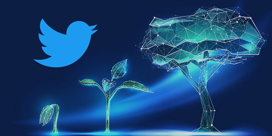 The Inner Workings of Twitter: A Glimpse into the Open-Source Future