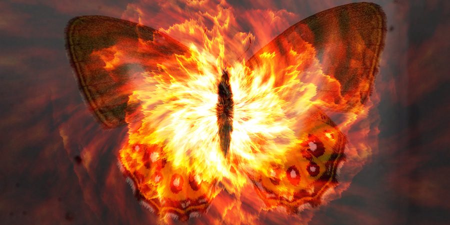 Sauron's Eye Inspires New Butterfly Species Name