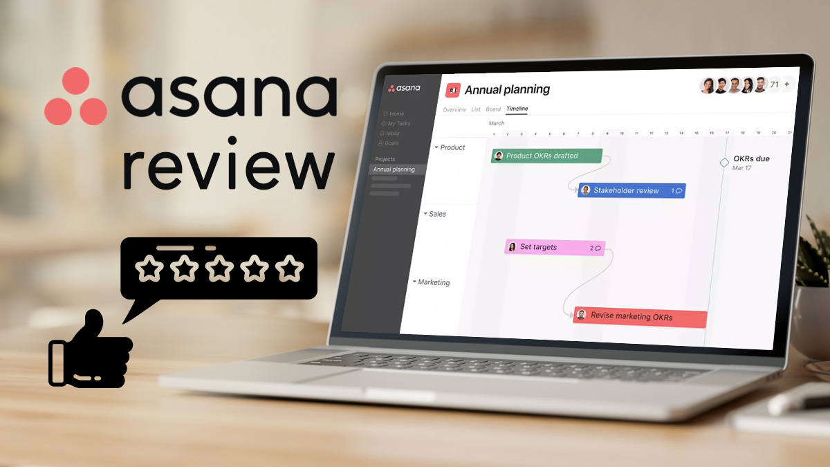 Asana Review feature