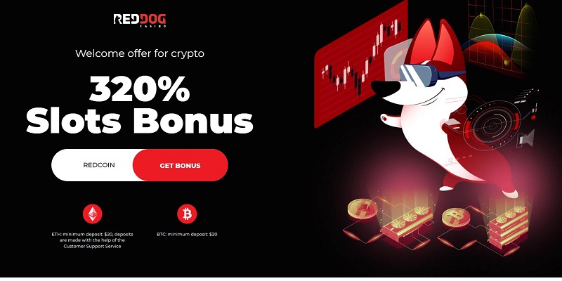 Red Dog Casino Bonus